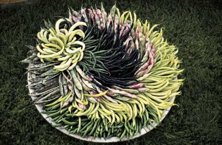 Mixed Beans Recipe with Lemon Dill Butter Image